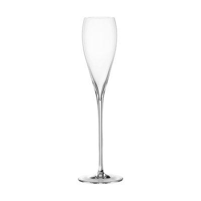 Sparkle Champagne Glass